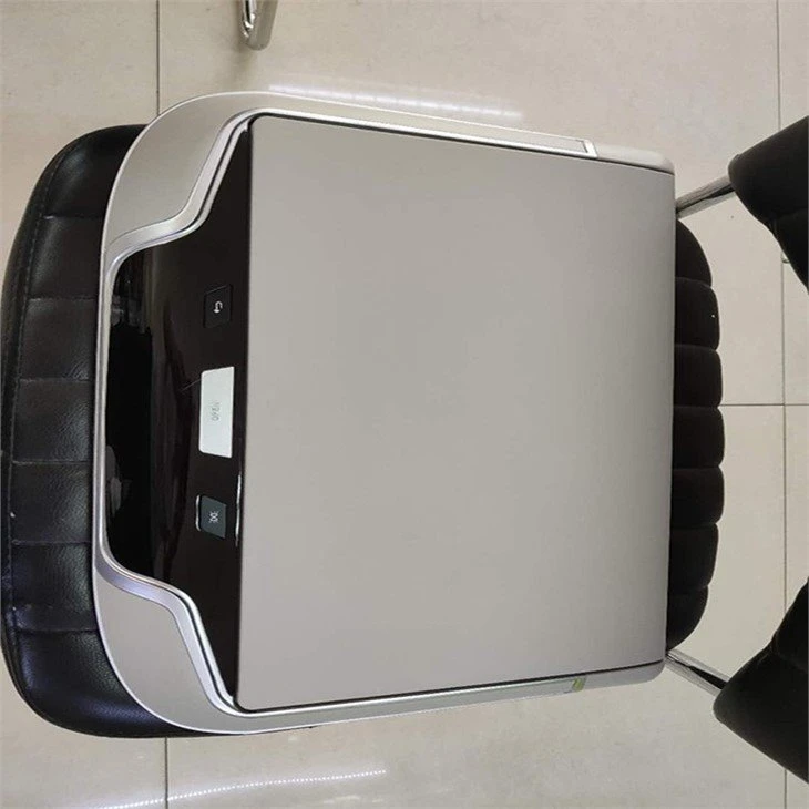 17.3 Inch Car Ceiling TV